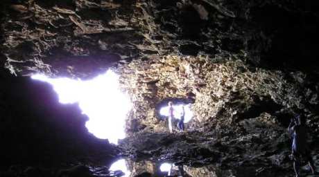 Animal flower cave Barbados