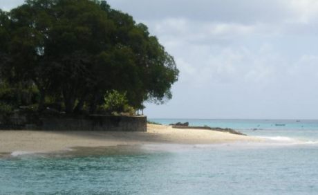 barbados catamaran view