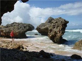 Barbados shore excursions scene