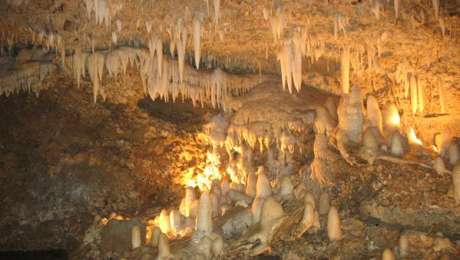 Harrisons Cave Barbados