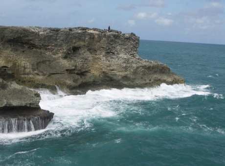 animal flower cave view from the cliff