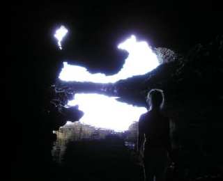 Flower cave in Barbados