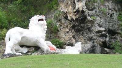 gun hill station lion