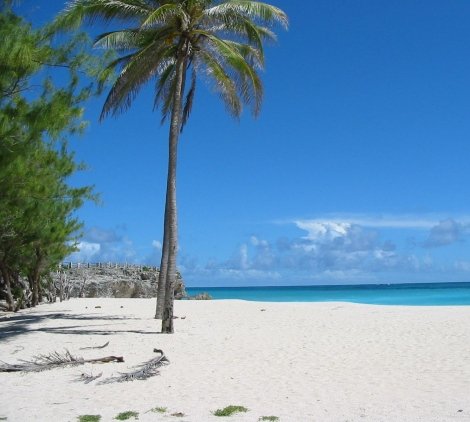 barbados weather forecast